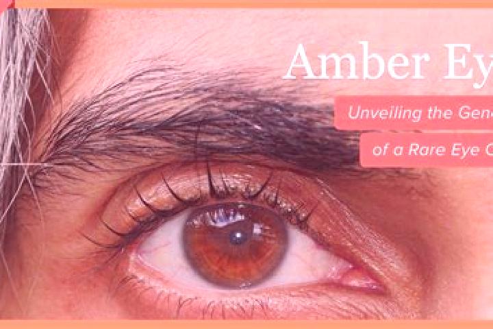 Abigail, 32, a black amber-eyed european companion based in Fishersville. Offering GFE, Girlfriend Experience, Prostate Massage, Couples. Available for incal...