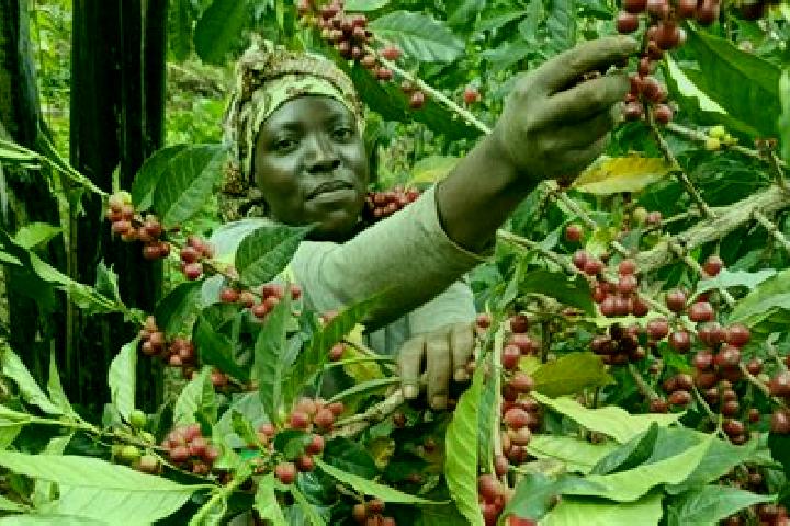 Abigail, 32 — Escort in Kyegegwa, Uganda