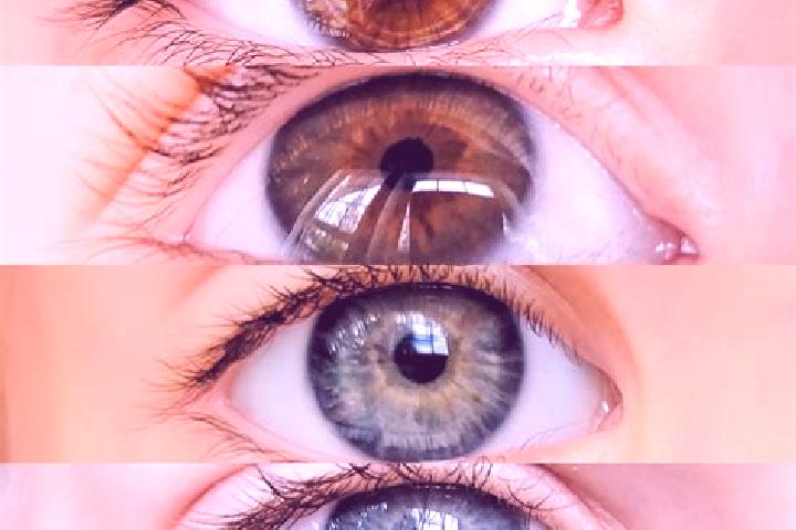 Abigail, 35, a chestnut amber-eyed mixed companion based in Fusha. Offering Erotic Massage, Overnight, Prostate Massage. Available for incall and outcall, da...