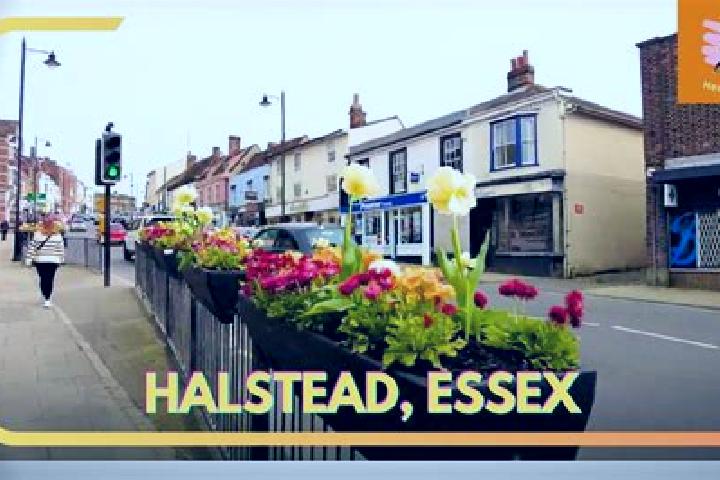 Abigail, 35 — Escort in Halstead, United Kingdom