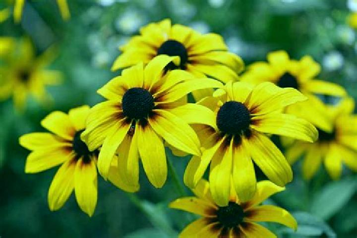 Abigail, 37, a black brown-eyed european companion based in Vermont. Offering Roleplay, Erotic Massage, Girlfriend Experience, Domination. Available for inca...