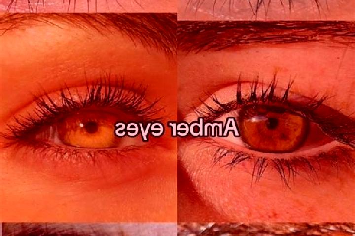Abigail, 38, a chestnut amber-eyed middle eastern companion based in Dianu. Offering 69, Tantra, Prostate Massage, Travel Companion, CIM. Available for incal...