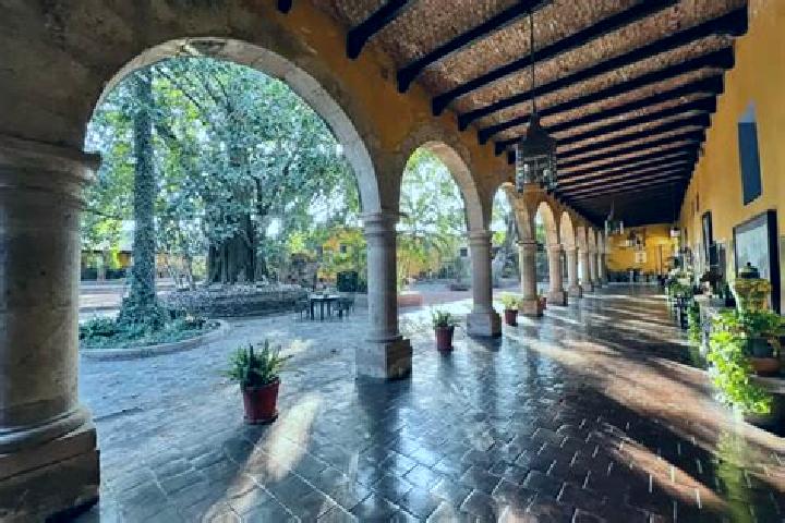 Abigail, 38 — Escort in Hacienda de la Bolsa, Mexico