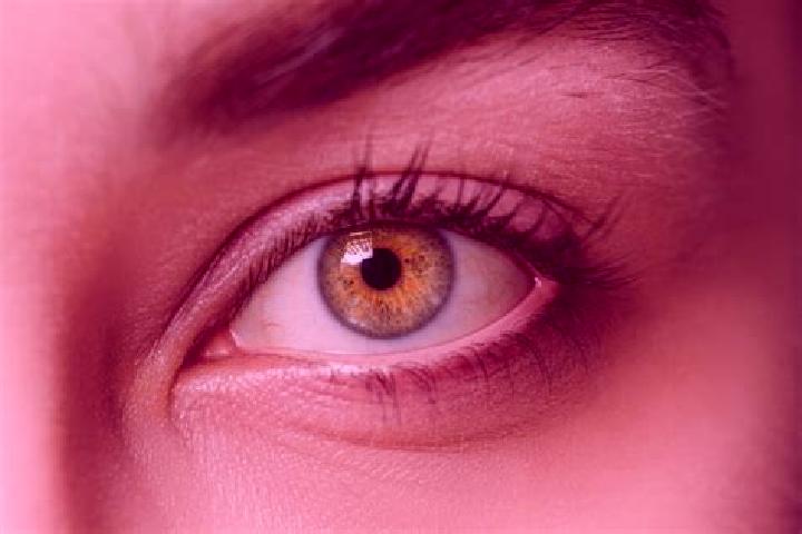 Abigail, 39, a blonde hazel-eyed mixed companion based in Castelmassa. Offering Overnight, Fetish, Tantra, Girlfriend Experience. Available for incall and ou...