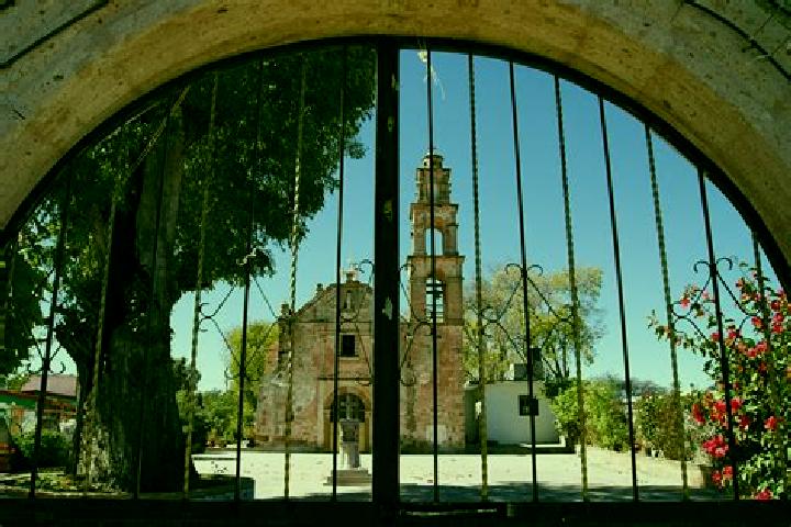 Abigail, 39 — Escort in Santa Maria Nativitas Coatlan, Mexico
