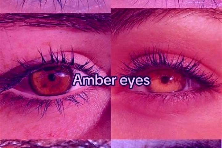 Addison, 21, a chestnut amber-eyed middle eastern companion based in Furstenzell. Offering Dinner Date, Overnight, Massage, A-Level. Available for incall and...
