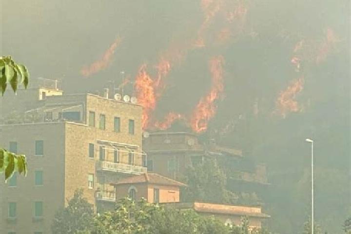 Addison, 21 — Escort in Brovello-Carpugnino, Italy