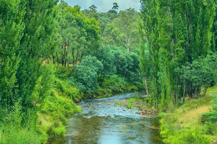Addison, 22 — Escort in Mountain River, Australia
