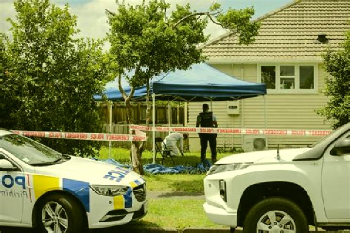Addison, 22 — Escort in Otangarei, New Zealand