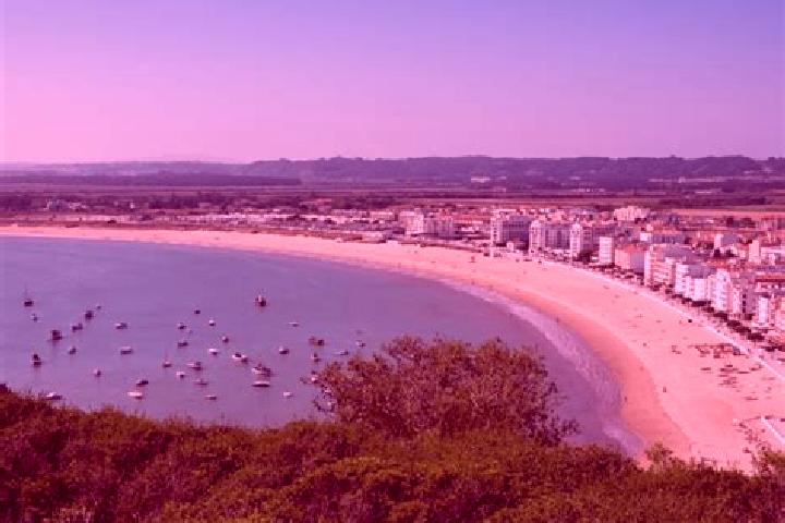 Addison, 22 — Escort in Sao Martinho, Portugal
