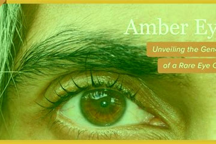 Addison, 24, a black amber-eyed mixed companion based in Eten. Offering A-Level, Travel Companion, Erotic Massage. Available for incall and outcall, overnigh...