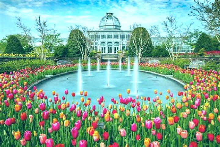 Addison, 24 — Escort in Virginia Gardens, United States