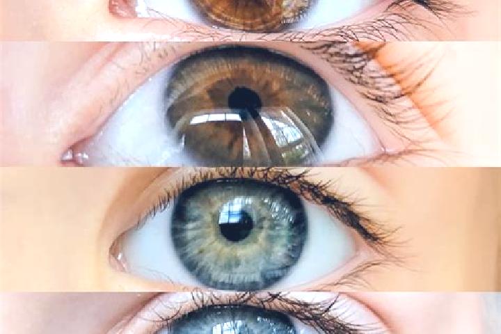 Addison, 25, a chestnut dark-eyed mixed companion based in Shangdu. Offering Duos, Overnight, 69, GFE. Available for incall and outcall, day and evening dates.