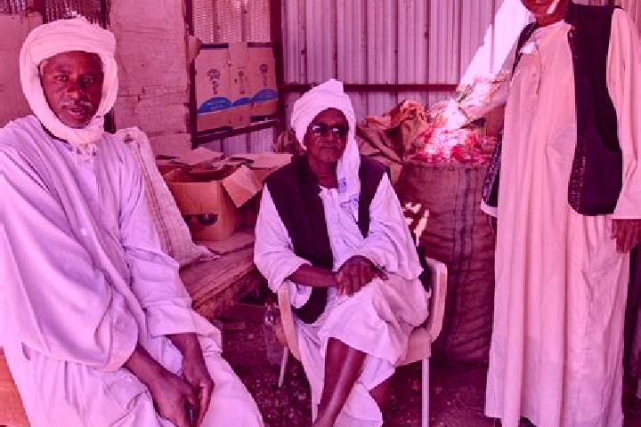 Addison, 25 — Escort in Burri Al Mahas, Sudan