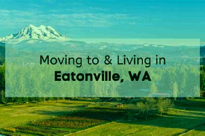 Addison, 26 — Escort in Eatonville, United States