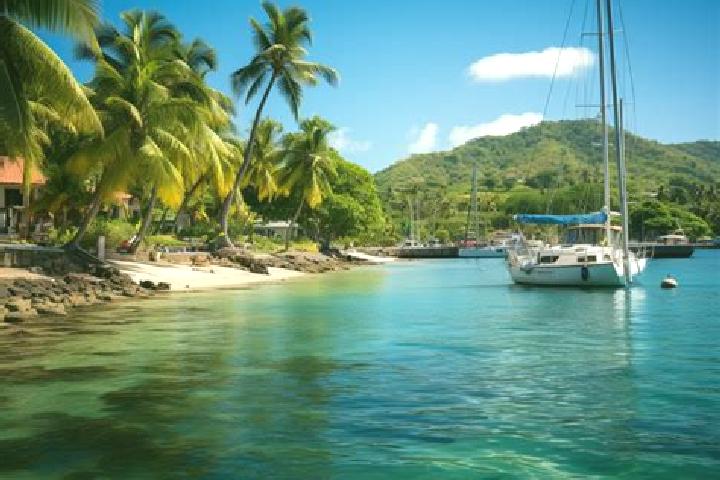 Addison, 27 — Escort in Le Marin, Martinique