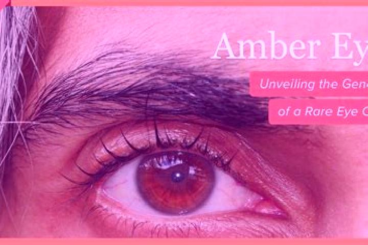 Addison, 28, a black amber-eyed caribbean companion based in Vetapalem. Offering Party Girl, A-Level, Duos, Overnight. Available for incall and outcall, over...