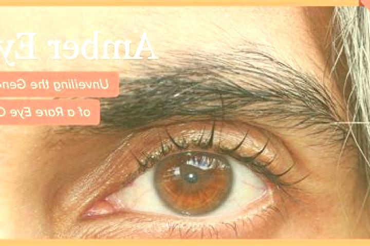 Addison, 28, a black amber-eyed ebony companion based in Sulbiate. Offering Dinner Date, Massage, A-Level. Available for incall and outcall, day and evening ...
