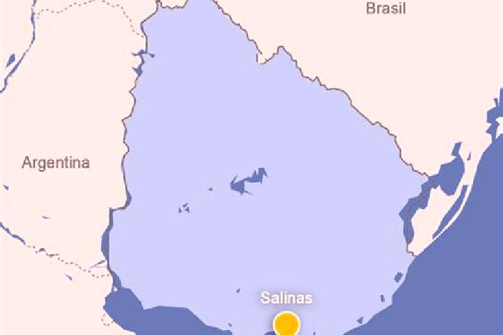 Addison, 28 — Escort in Salinas, Uruguay