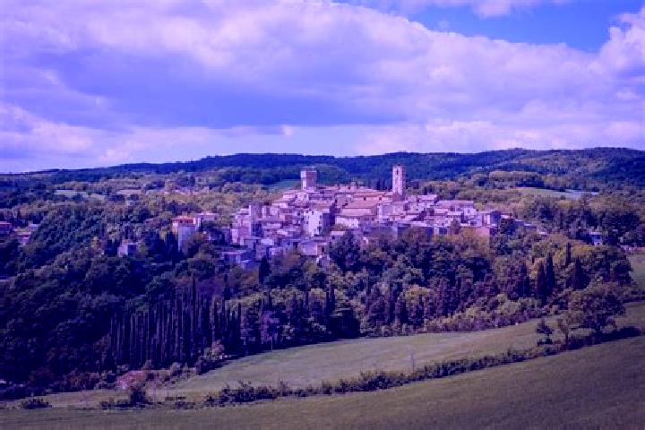 Addison, 28 — Escort in San Casciano dei Bagni, Italy