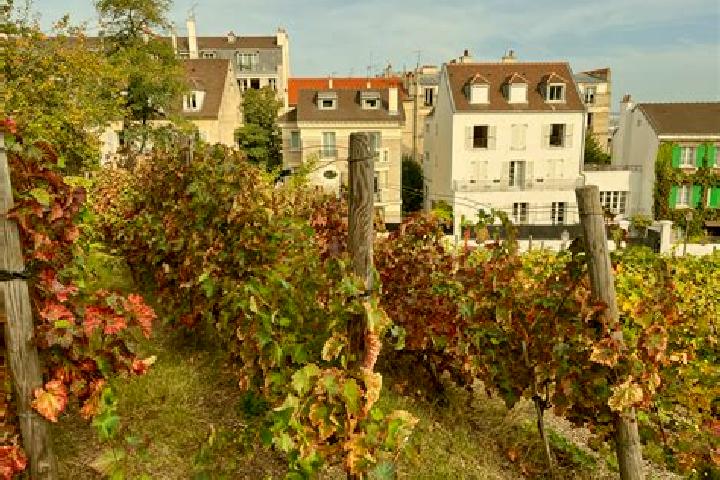 Addison, 29 — Escort in Les Rues-des-Vignes, France