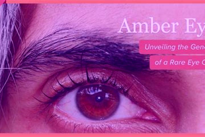 Addison, 30, a black amber-eyed mixed companion based in Mangere. Offering Dinner Date, Duos, Tantra. Available for incall and outcall, day and evening dates.