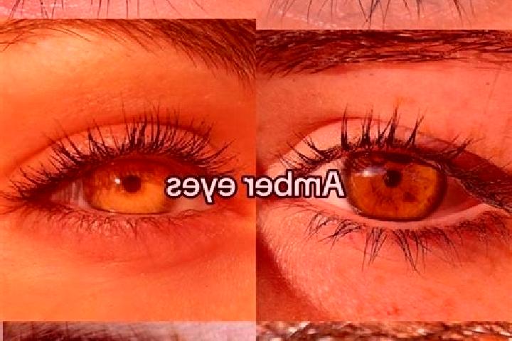 Addison, 32, a brunette amber-eyed middle eastern companion based in Mondrepuis. Offering Travel Companion, Prostate Massage, A-Level. Available for incall a...