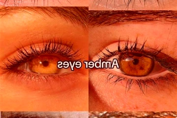 Addison, 32, a chestnut amber-eyed middle eastern companion based in Colonia Yurecuaro. Offering CIM, Roleplay, Couples. Available for incall and outcall, ov...