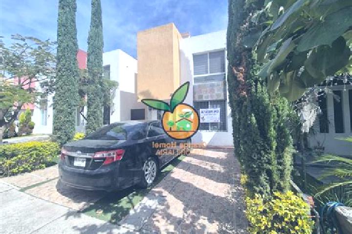 Addison, 32 — Escort in Lomas de Santa Anita, Mexico