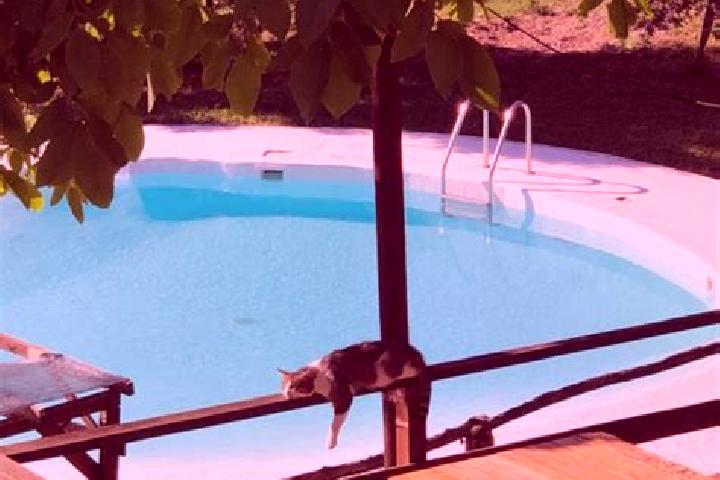 Addison, 33 — Escort in Canavaccio, Italy