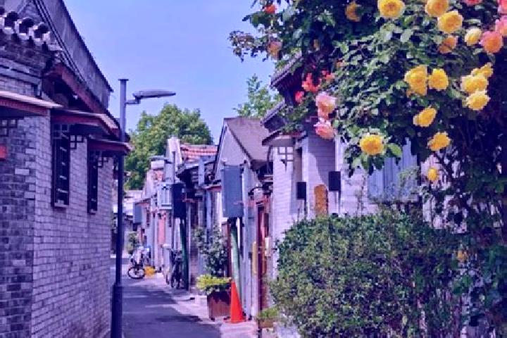 Addison, 33 — Escort in Nanzhuang, China