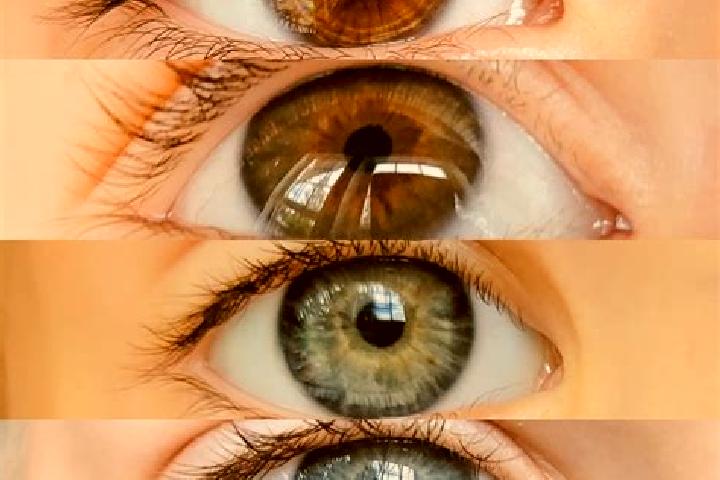 Addison, 34, a chestnut dark-eyed mixed companion based in Ricengo. Offering Massage, GFE, OWO. Available for incall and outcall, day and evening dates.