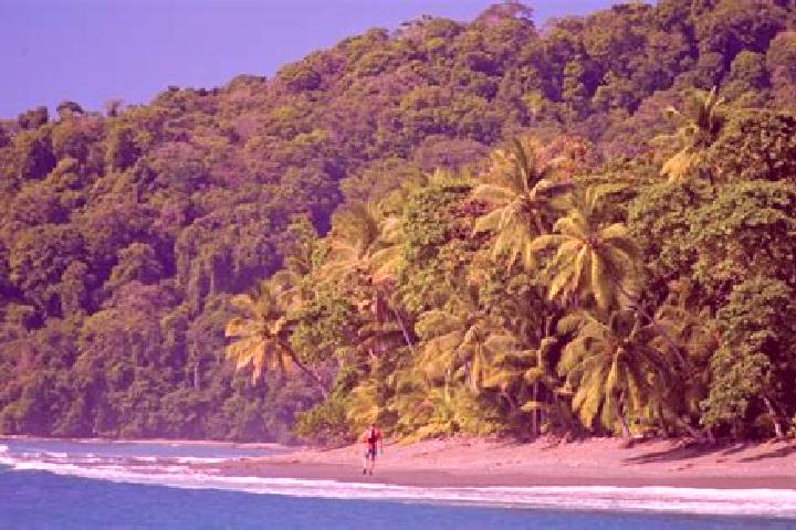 Addison, 34 — Escort in El Corcovado, Mexico