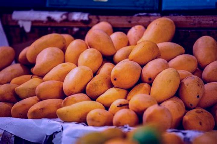 Addison, 34 — Escort in Plan de los Mangos, Mexico
