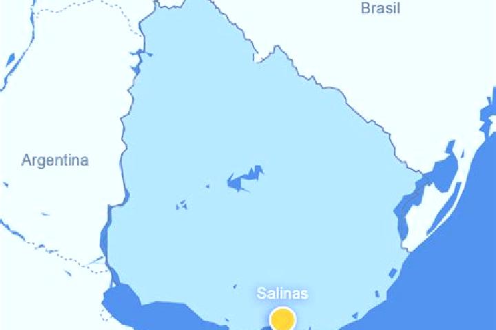 Addison, 35 — Escort in Salinas, Uruguay