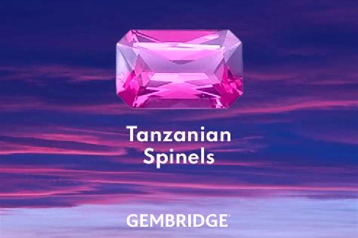 Addison, 36 — Escort in Mahenge, Tanzania