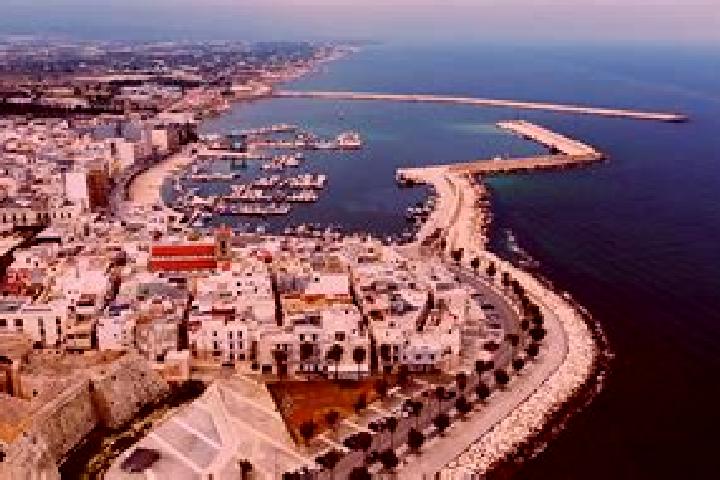 Addison, 36 — Escort in Mola di Bari, Italy