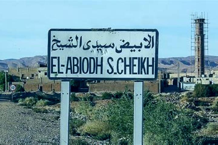 Addison, 37 — Escort in El Abiodh Sidi Cheikh, Algeria