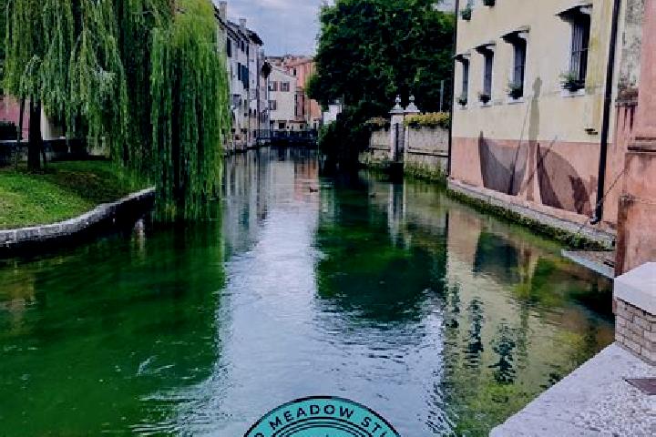 Addison, 37 — Escort in Treviso, Italy
