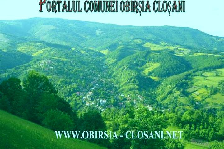 Addison, 38 — Escort in Obarsia-Closani, Romania