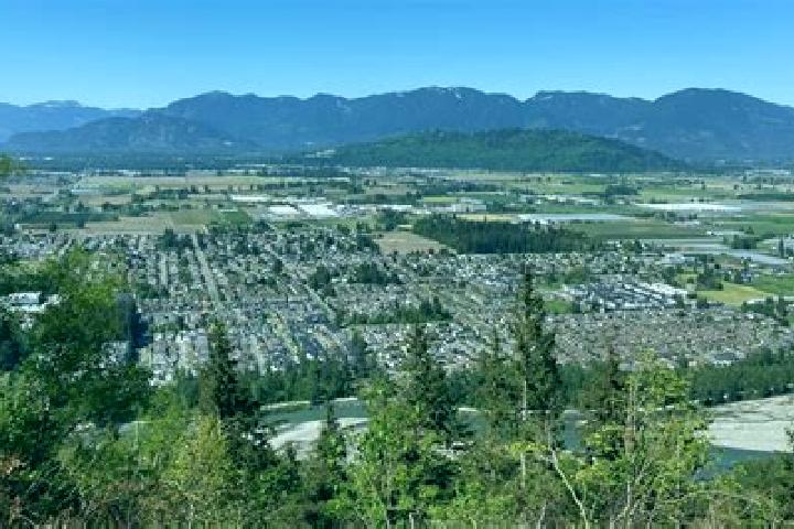 Addison, 39, a dark blonde amber-eyed asian companion based in Chilliwack Mountain. Offering A-Level, OWO, Massage, Deep French Kissing. Available for incall...