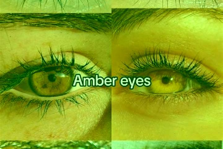Alice, 20, a brunette amber-eyed caribbean companion based in Porto Uniao. Offering Deep French Kissing, Overnight. Available for incall and outcall, overnig...