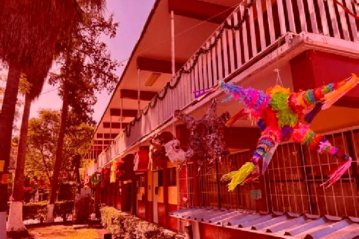 Alice, 20 — Escort in San Juan Tepa, Mexico