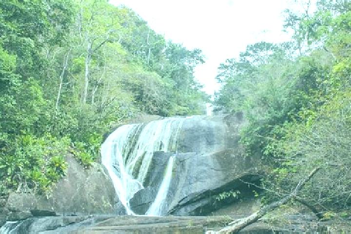 Alice, 20 — Escort in Sierra Imataca, Venezuela