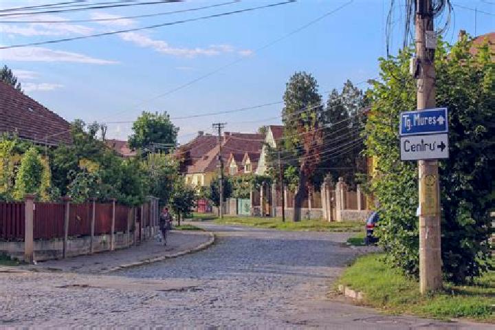 Alice, 20 — Escort in Sperieteni, Romania