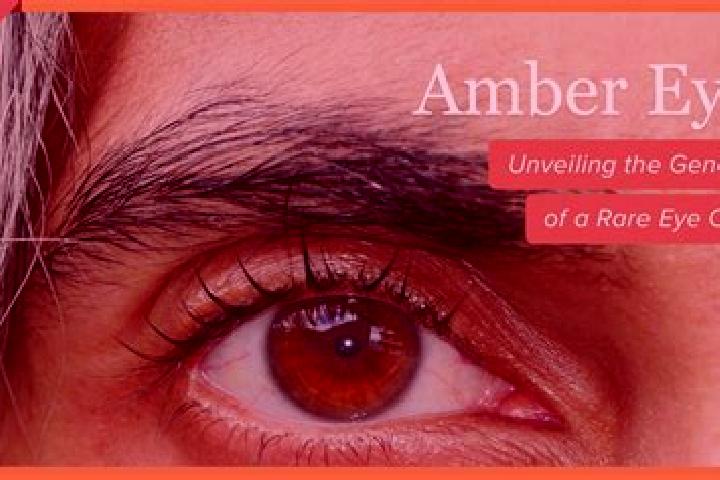 Alice, 21, a red amber-eyed caribbean companion based in Astakos. Offering Tantra, Dinner Date, Prostate Massage. Available for incall and outcall, overnight...