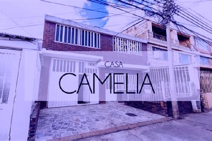 Alice, 22 — Escort in Camelia (Barrio la Camelia), Mexico