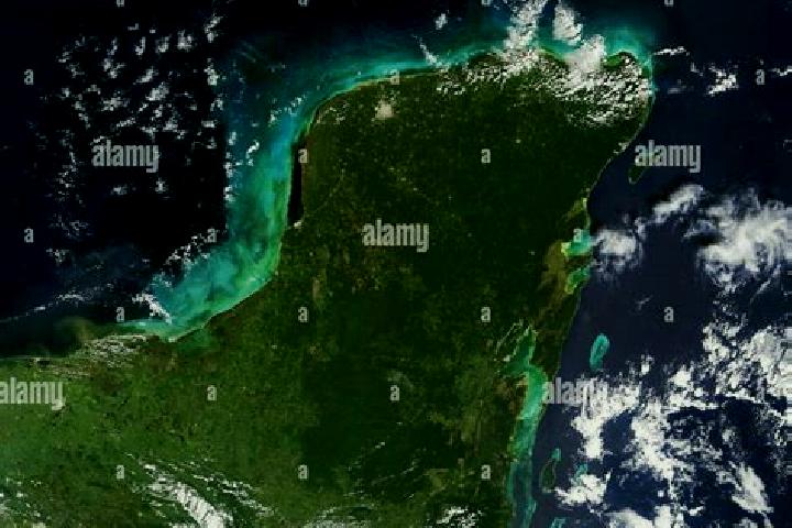 Alice, 22 — Escort in Chicxulub Puerto, Mexico