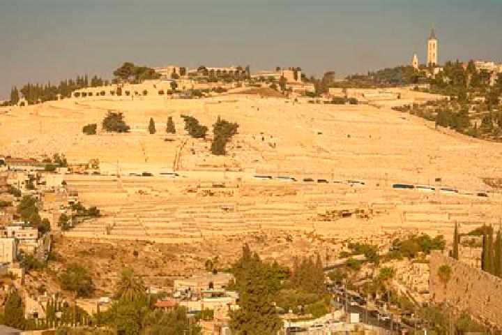 Alice, 22 — Escort in East Jerusalem, Palestine