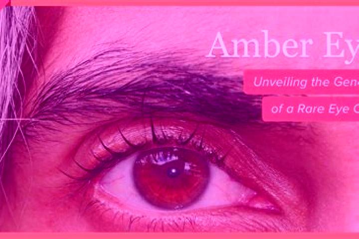 Alice, 23, a black amber-eyed indian companion based in O Malley. Offering OWO, Fetish, Tantra, Party Girl, Girlfriend Experience. Available for incall and o...